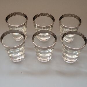 Silver Trim Glass Shot Glass Set